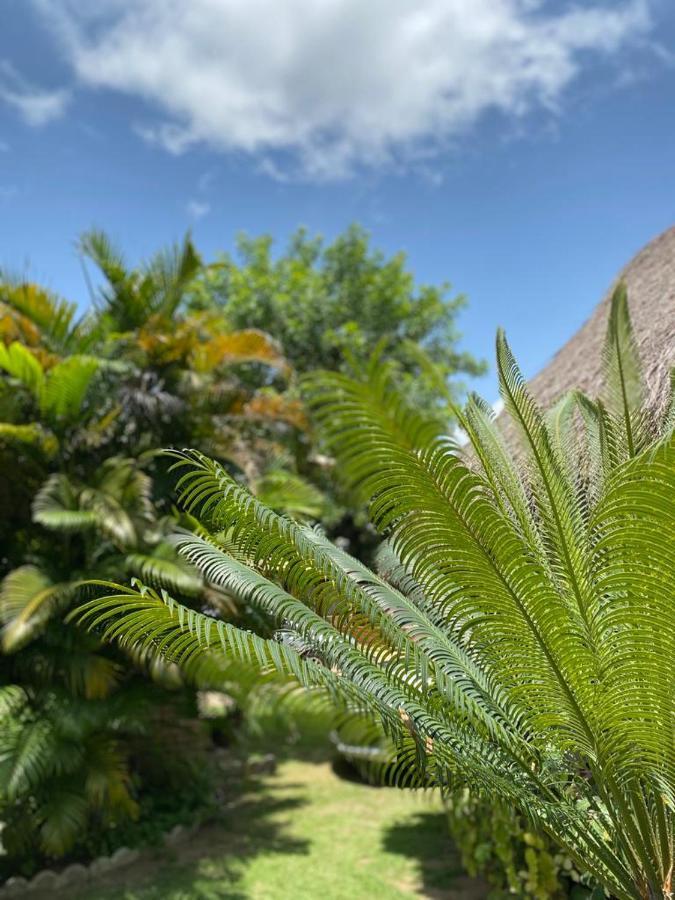 Pousada Porto Mar São Miguel dos Milagres Εξωτερικό φωτογραφία